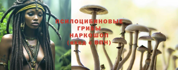 спиды Бугульма