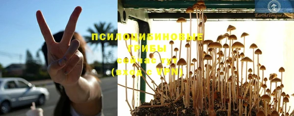 спиды Бугульма