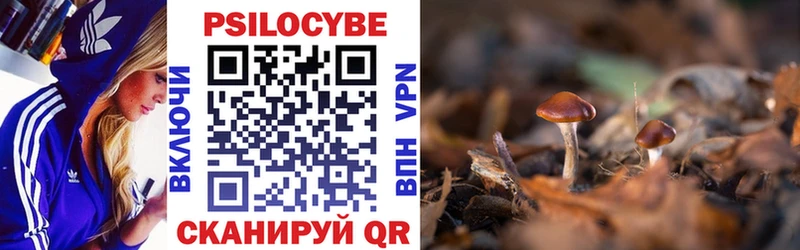 гидра Тихорецк Псилоцибиновые грибы прущие грибы где купить наркотик